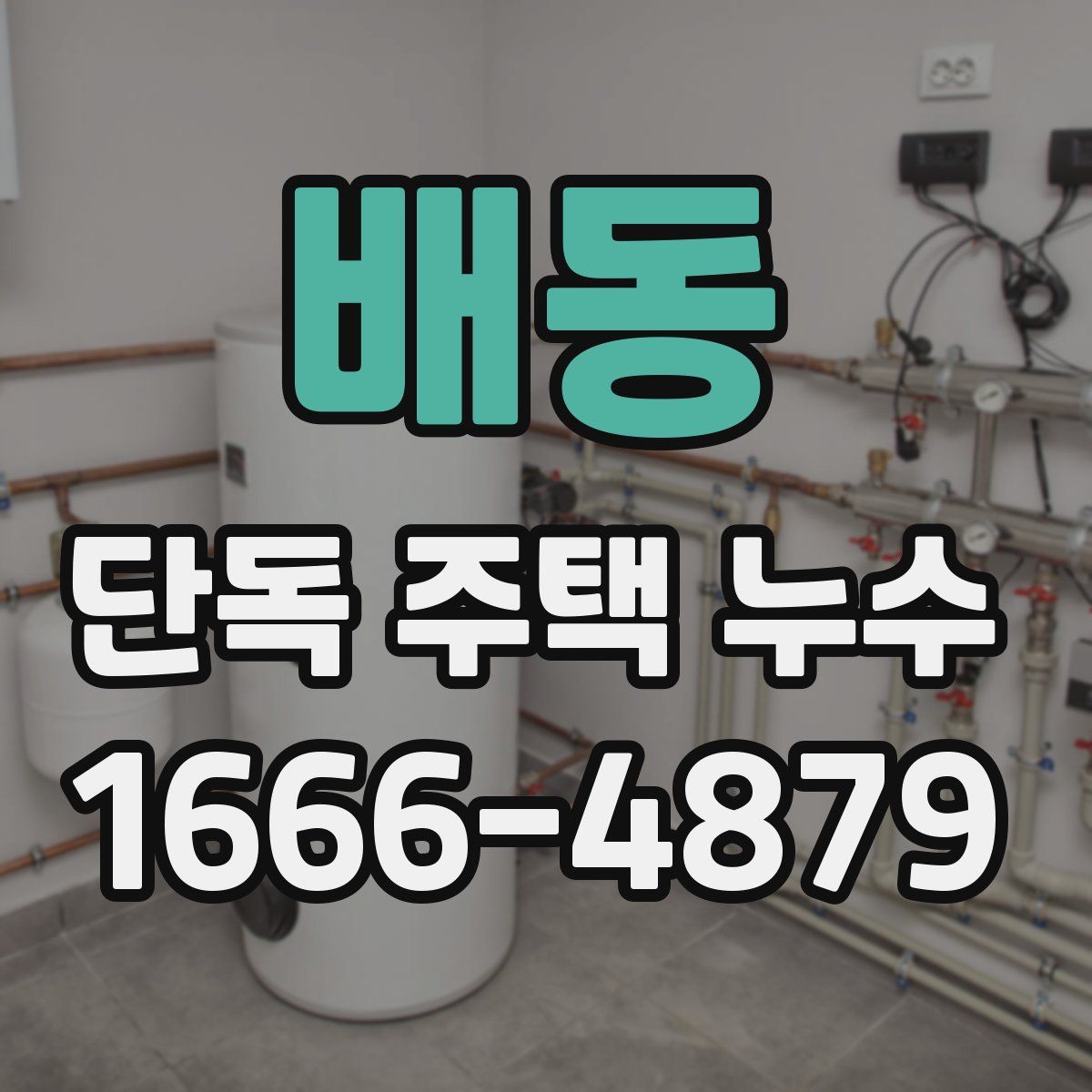 배동 단독 주택 누수