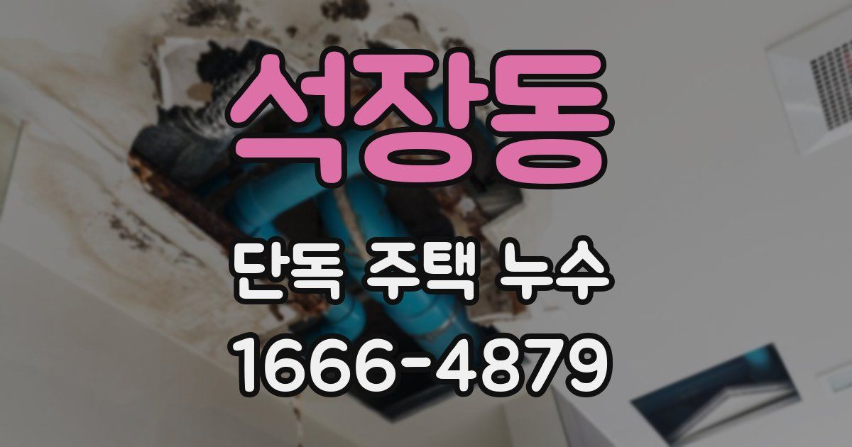 석장동 단독 주택 누수