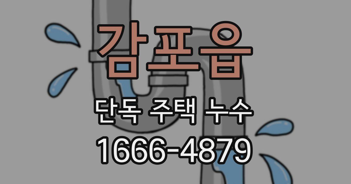 감포읍 단독 주택 누수