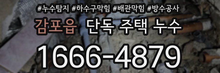 감포읍 단독 주택 누수