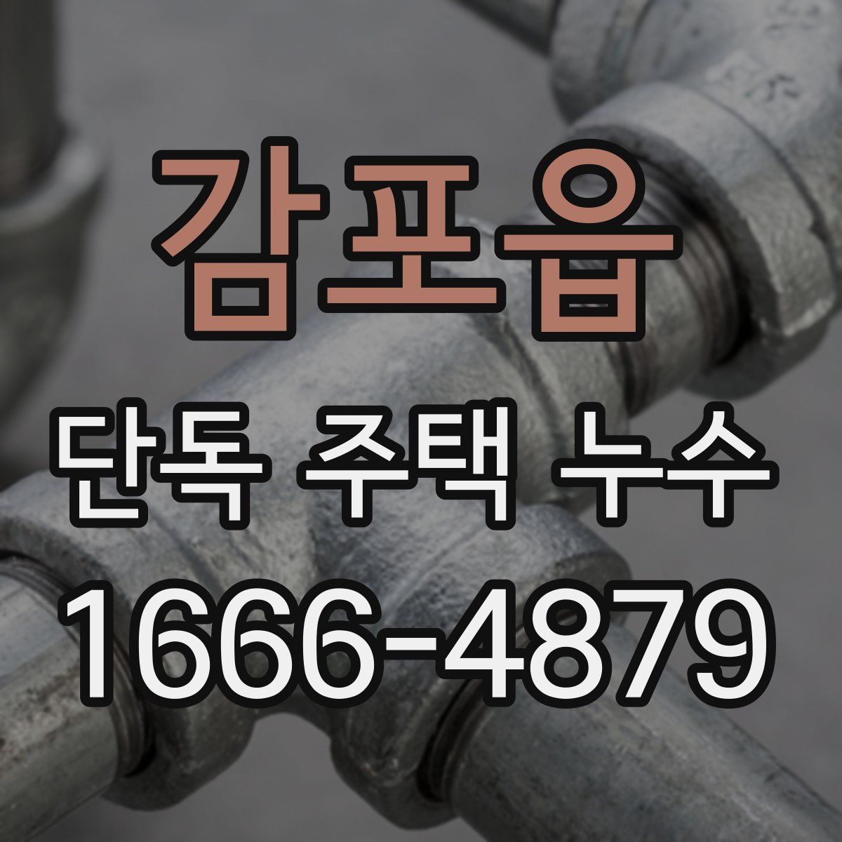 감포읍 단독 주택 누수
