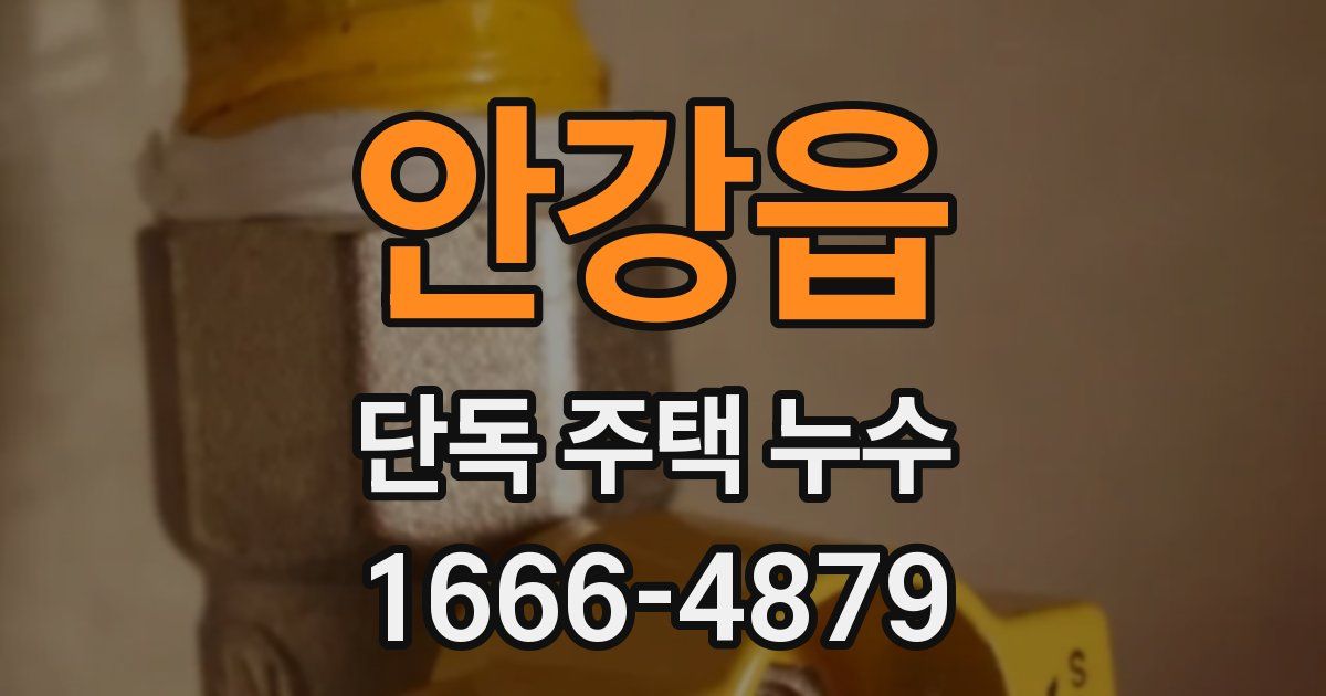 안강읍 단독 주택 누수