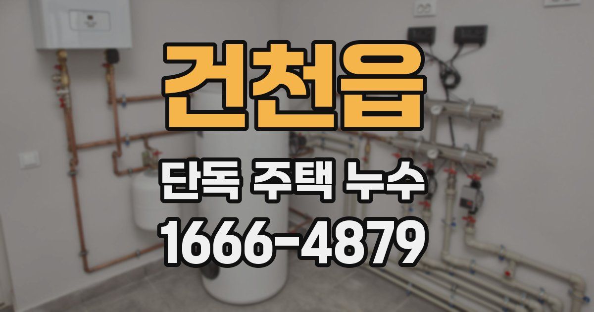 건천읍 단독 주택 누수