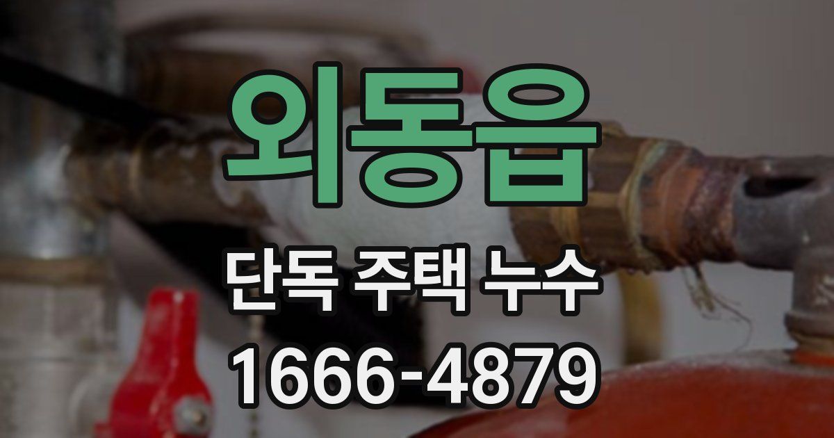 외동읍 단독 주택 누수