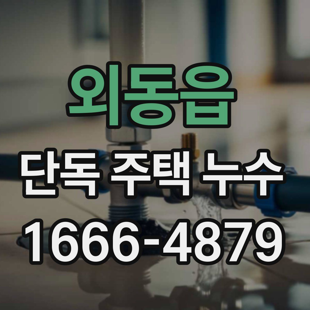 외동읍 단독 주택 누수