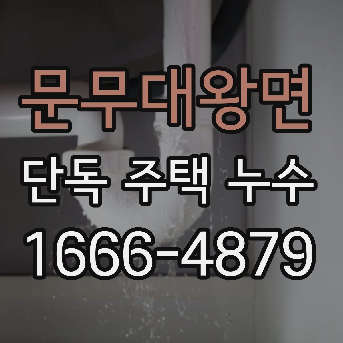문무대왕면 단독 주택 누수