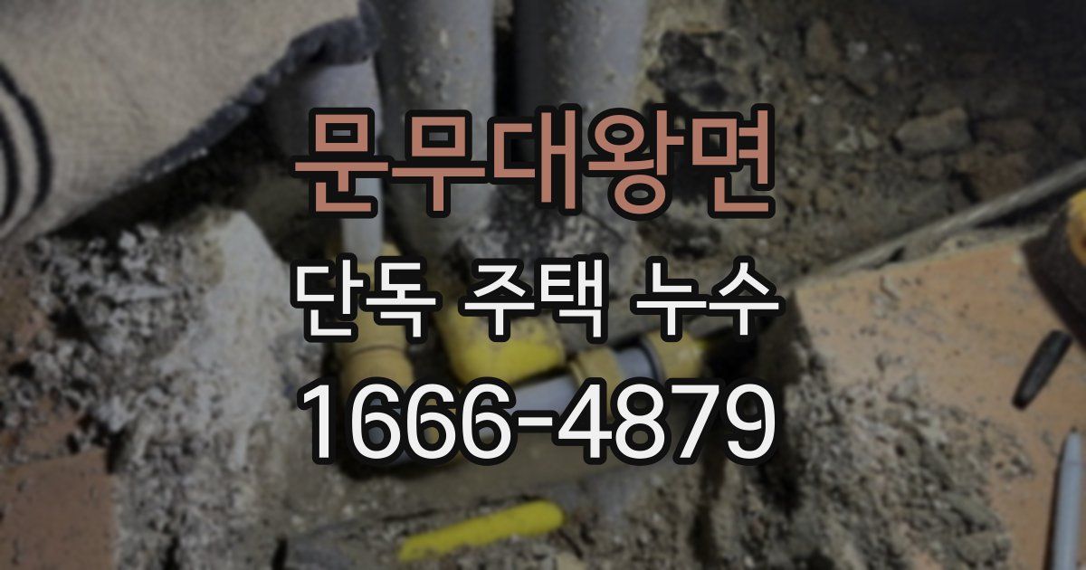 문무대왕면 단독 주택 누수