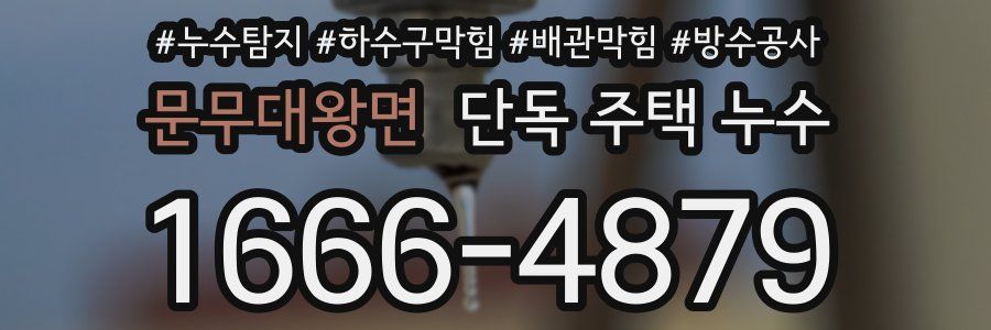 문무대왕면 단독 주택 누수
