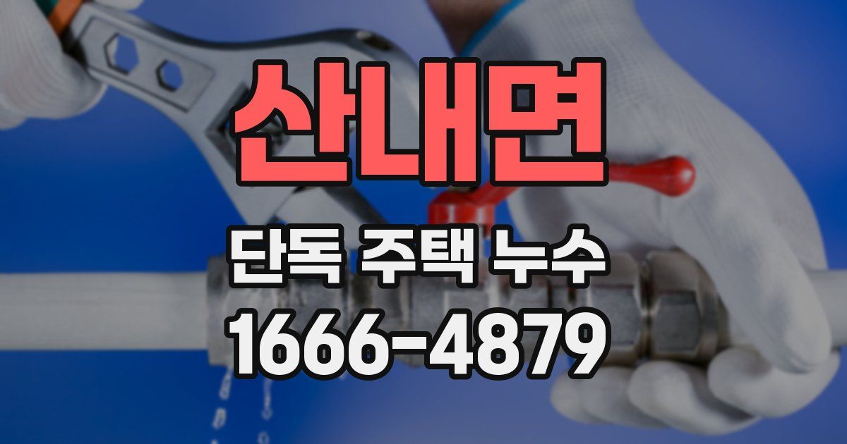 산내면 단독 주택 누수