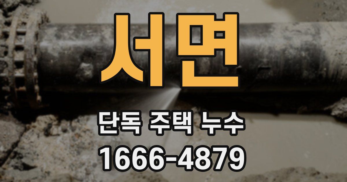 서면 단독 주택 누수
