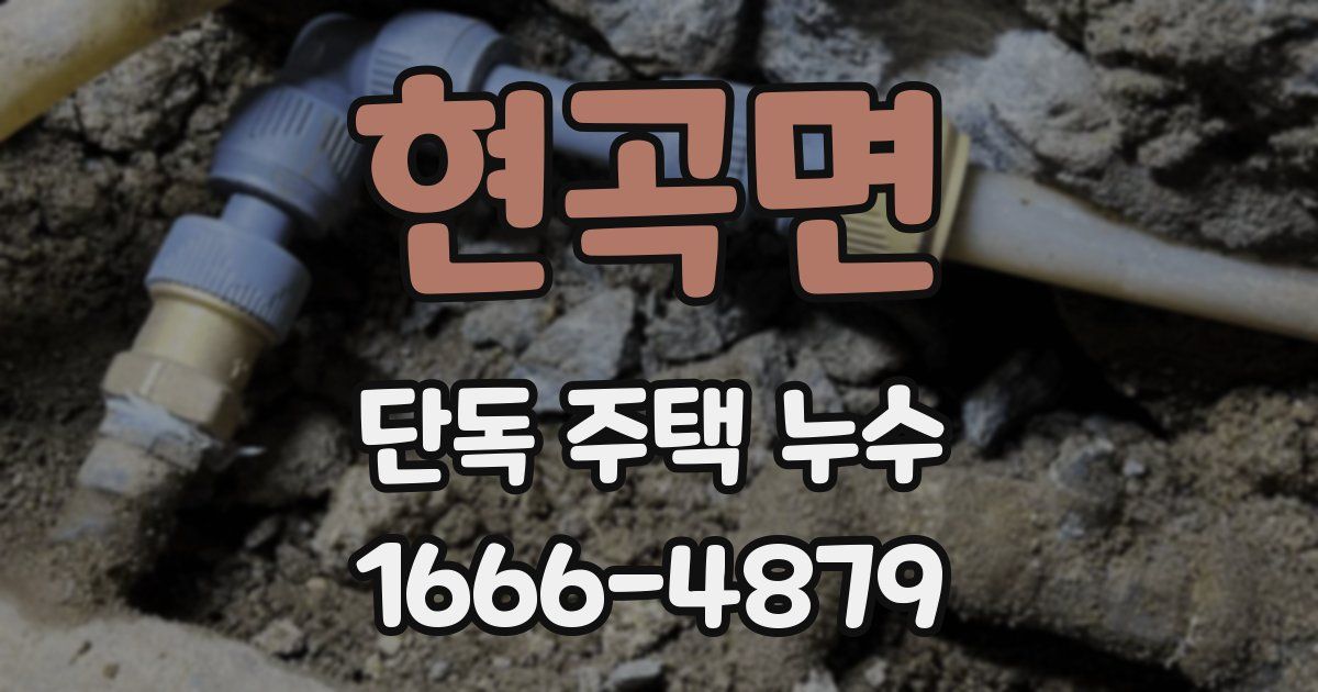 현곡면 단독 주택 누수