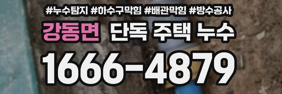 강동면 단독 주택 누수
