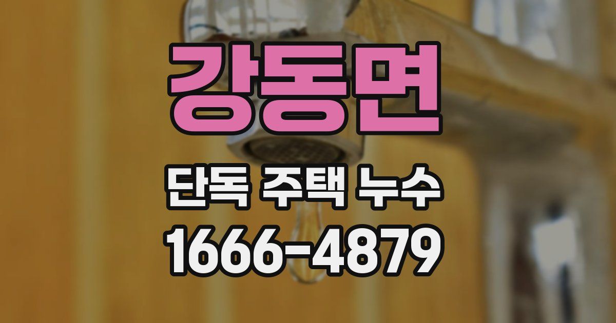 강동면 단독 주택 누수
