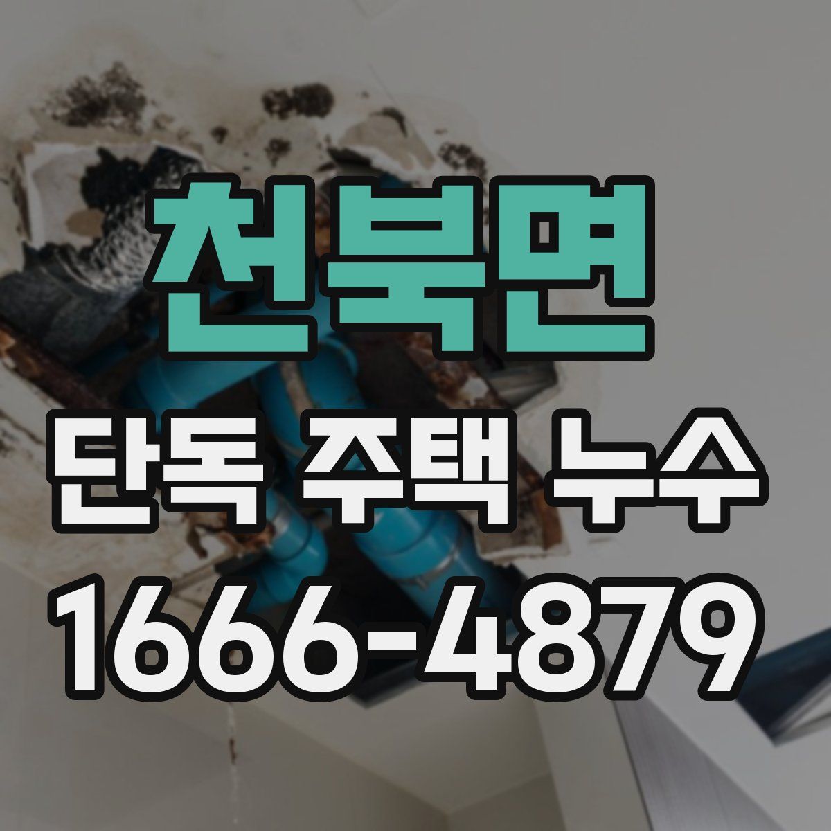 천북면 단독 주택 누수