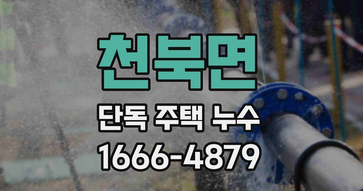 천북면 단독 주택 누수