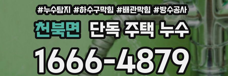 천북면 단독 주택 누수
