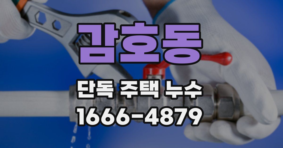 감호동 단독 주택 누수