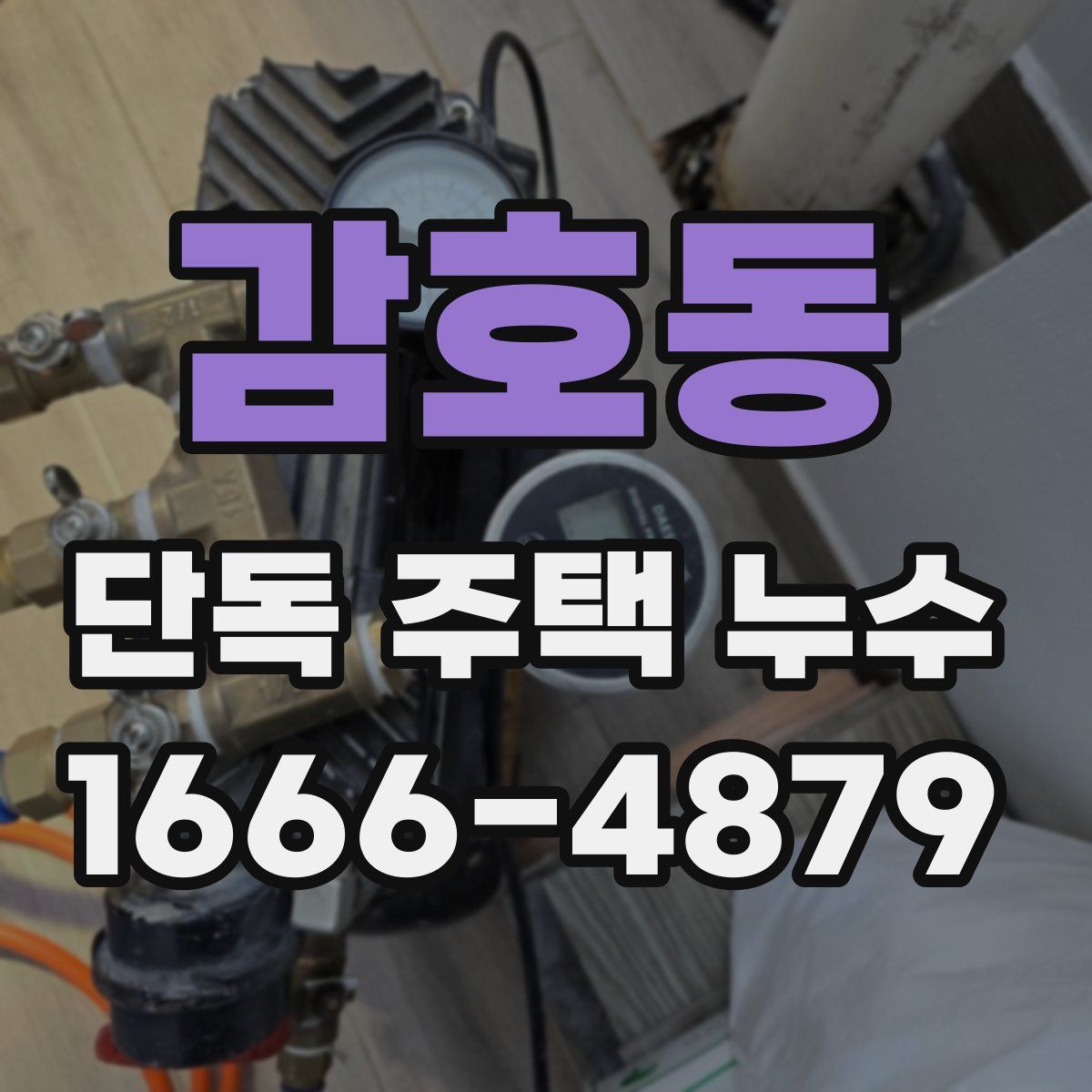 감호동 단독 주택 누수