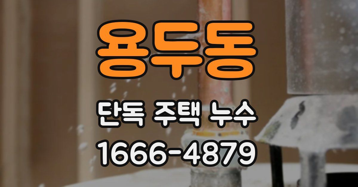 용두동 단독 주택 누수