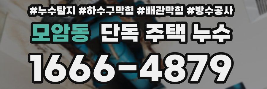 모암동 단독 주택 누수