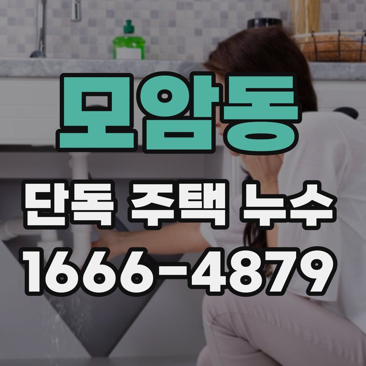 모암동 단독 주택 누수