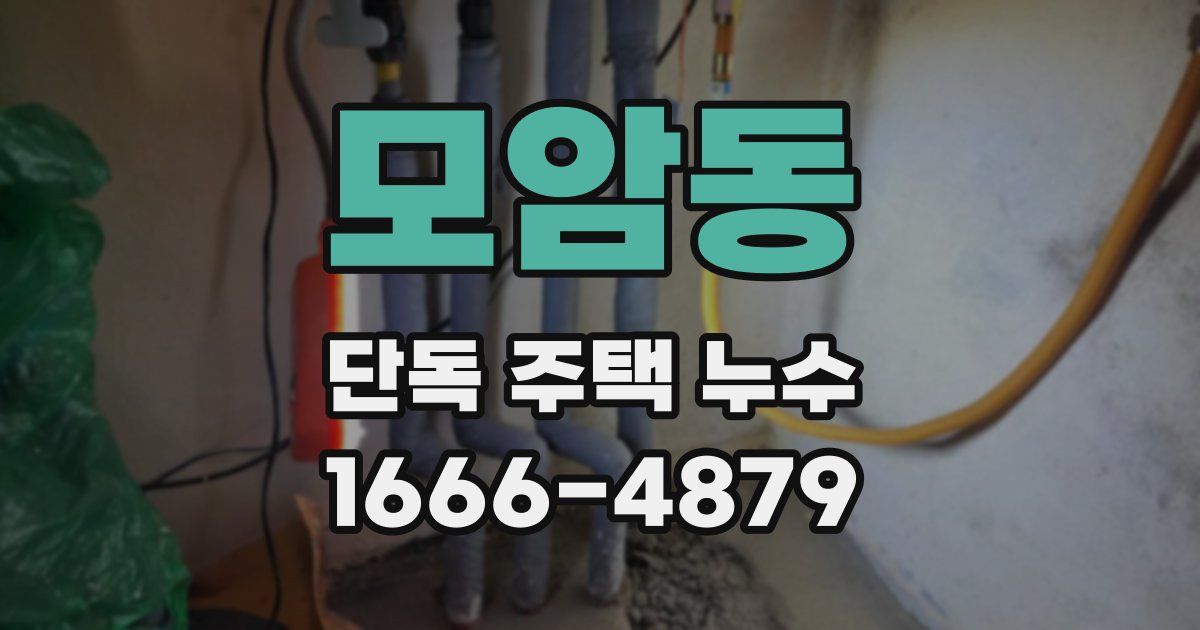 모암동 단독 주택 누수