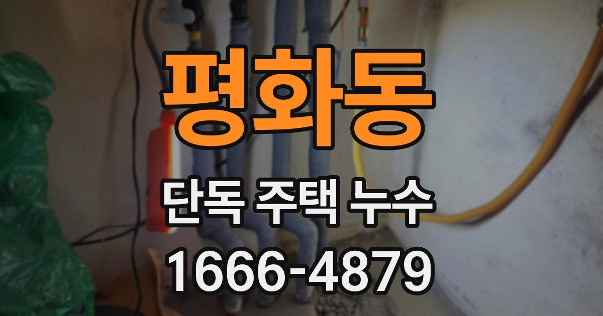 평화동 단독 주택 누수