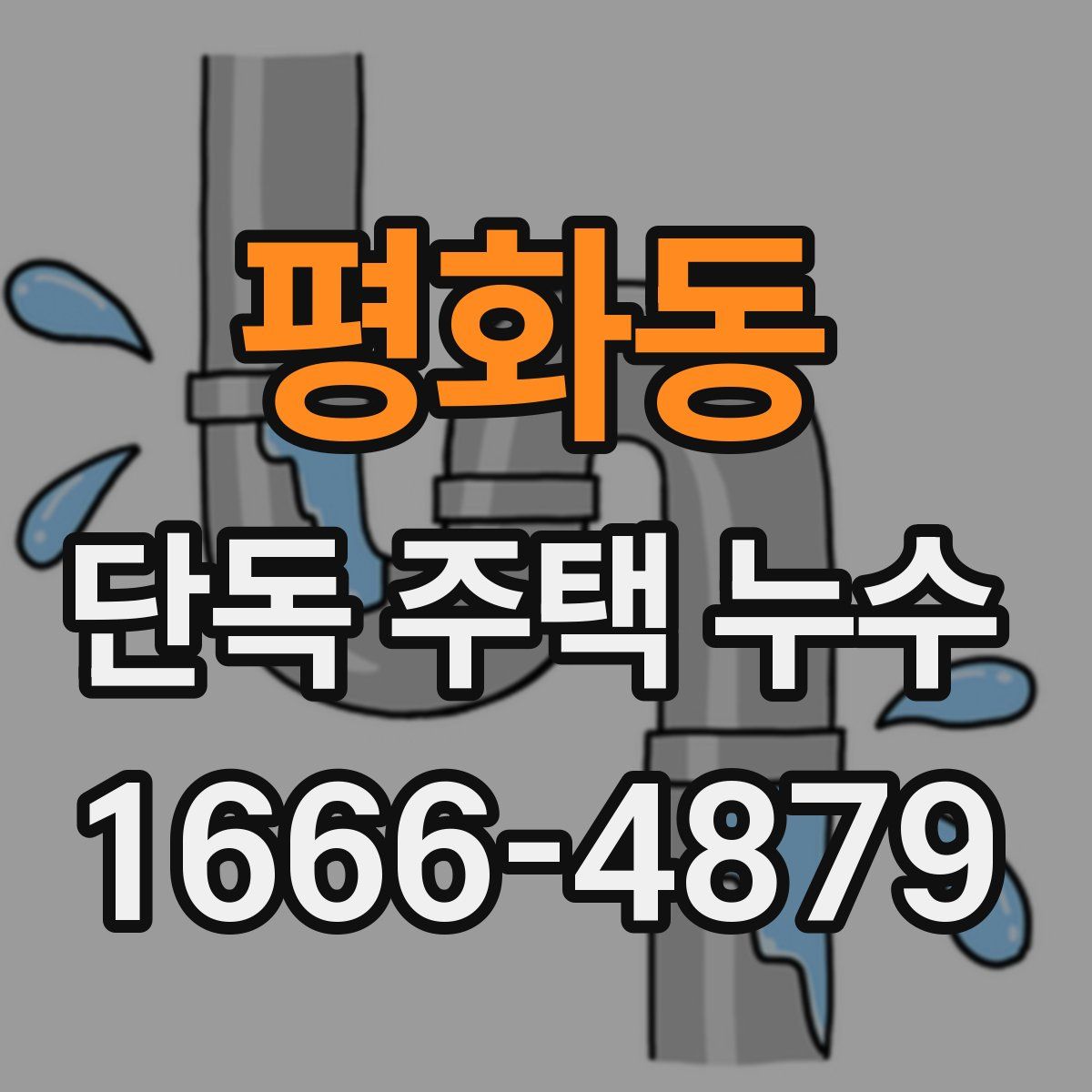 평화동 단독 주택 누수