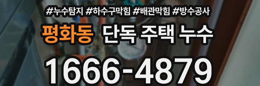 평화동 단독 주택 누수