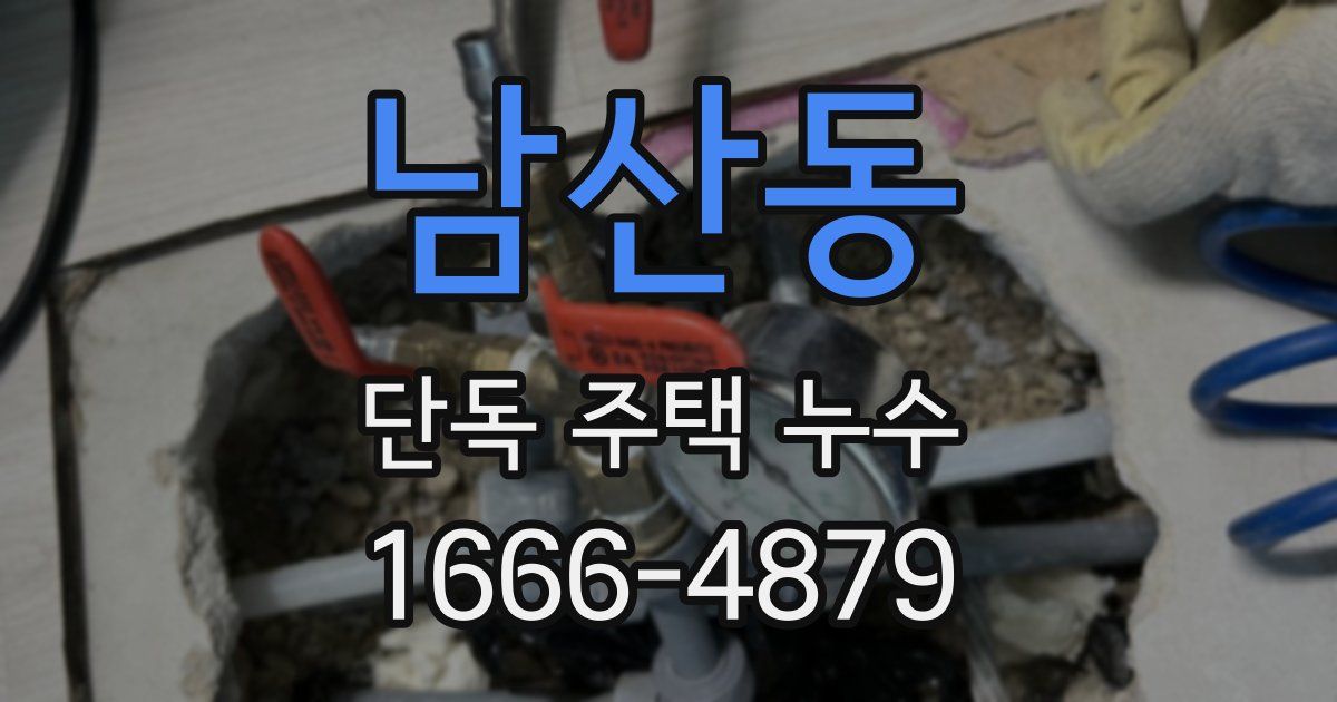 남산동 단독 주택 누수