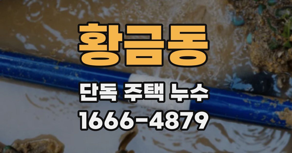 황금동 단독 주택 누수