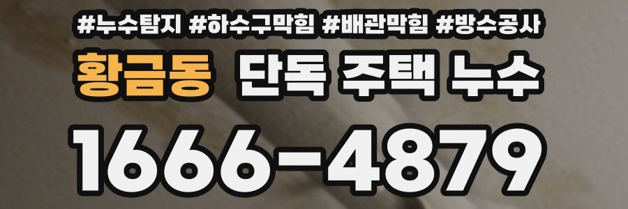 황금동 단독 주택 누수