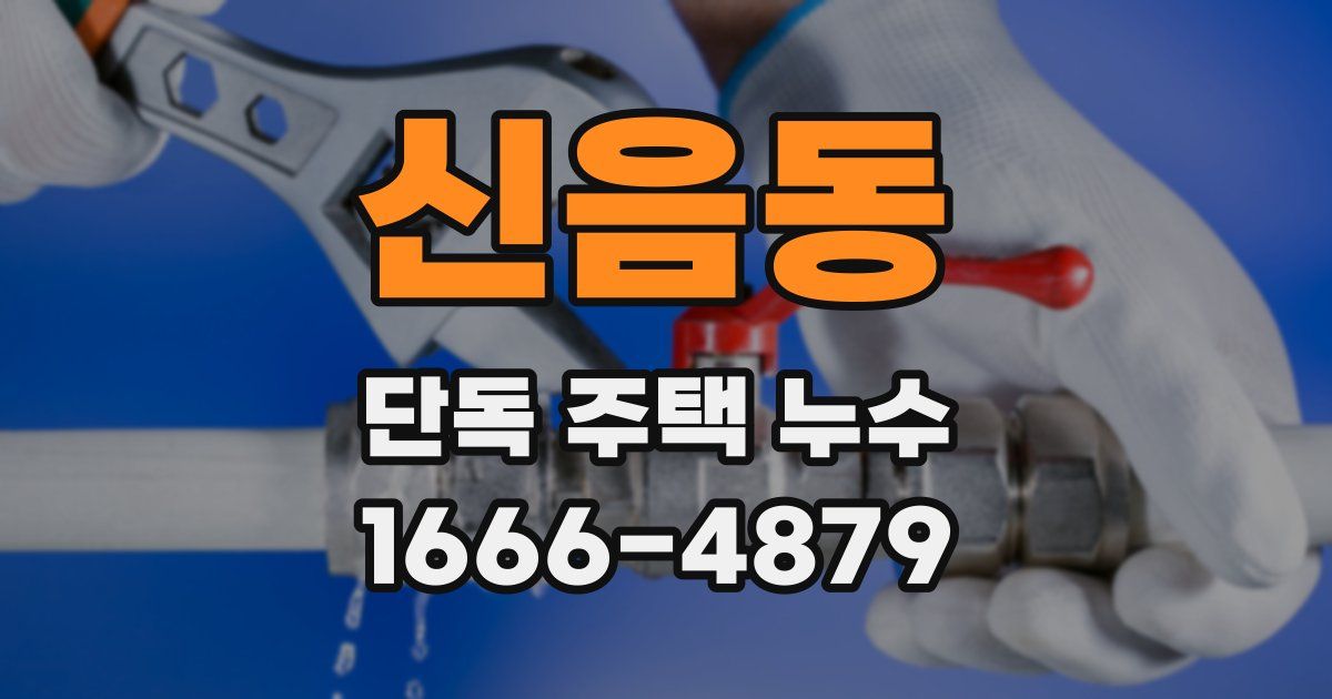 신음동 단독 주택 누수