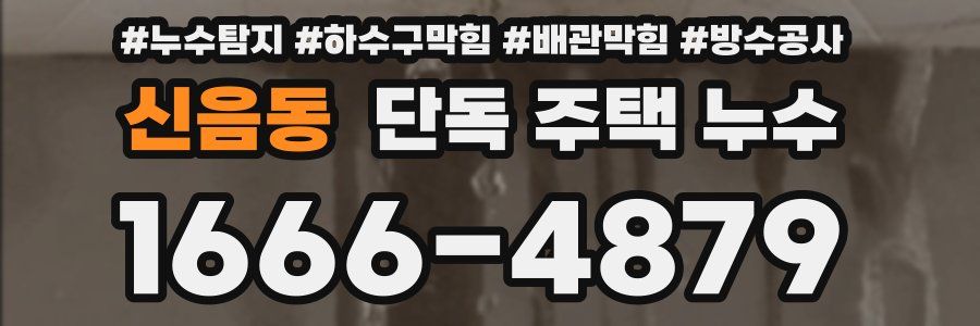 신음동 단독 주택 누수