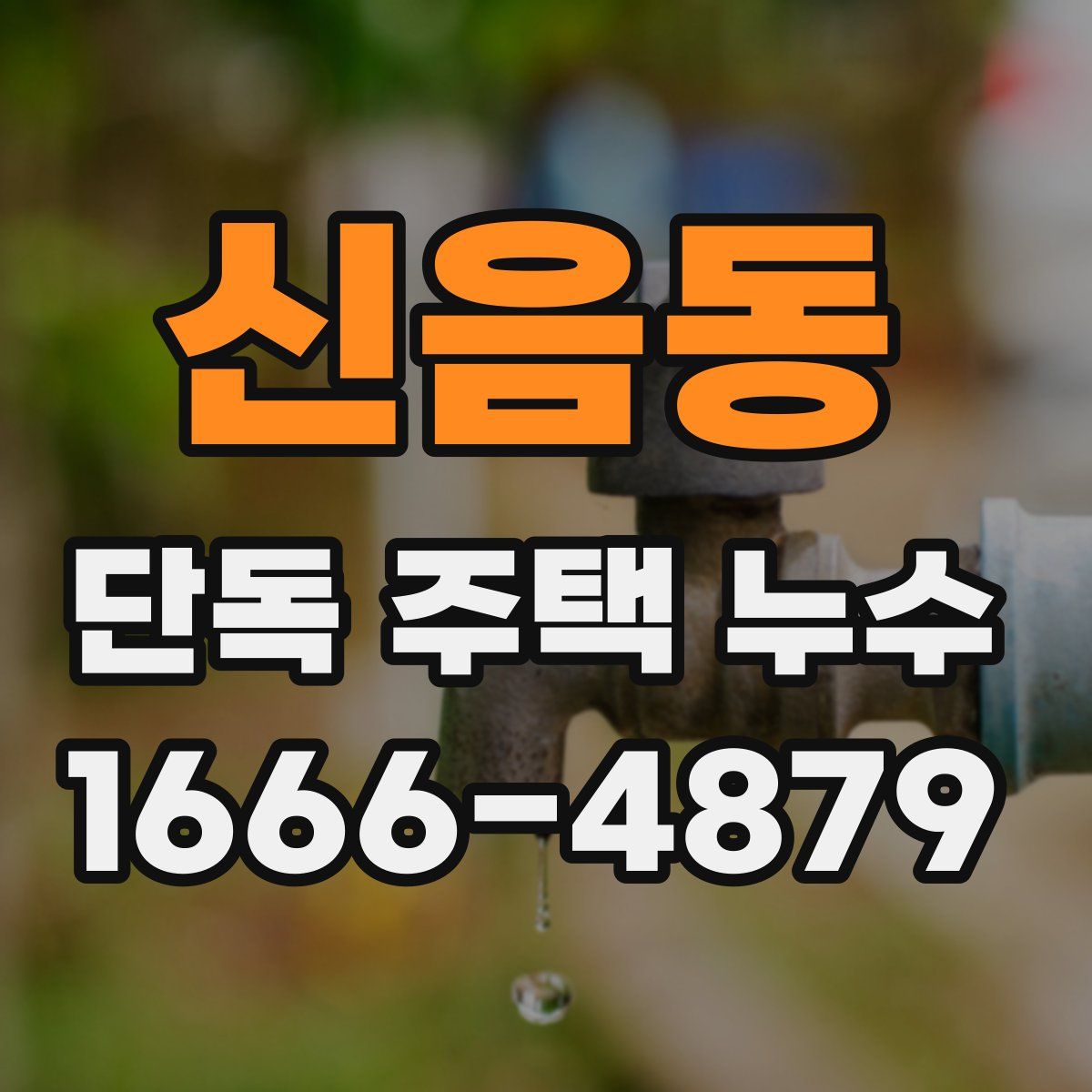 신음동 단독 주택 누수