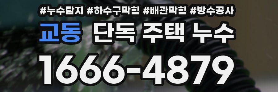 교동 단독 주택 누수