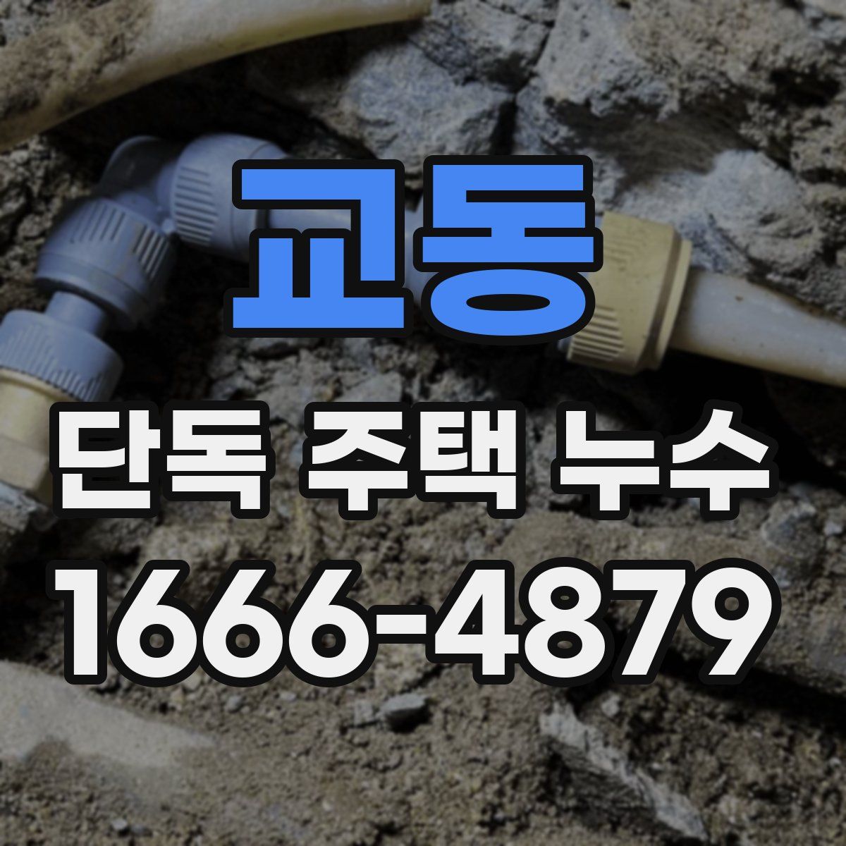 교동 단독 주택 누수