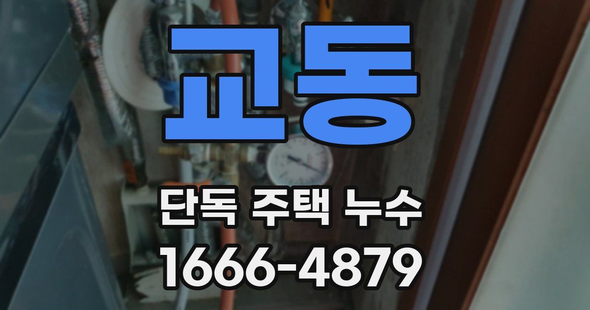 교동 단독 주택 누수