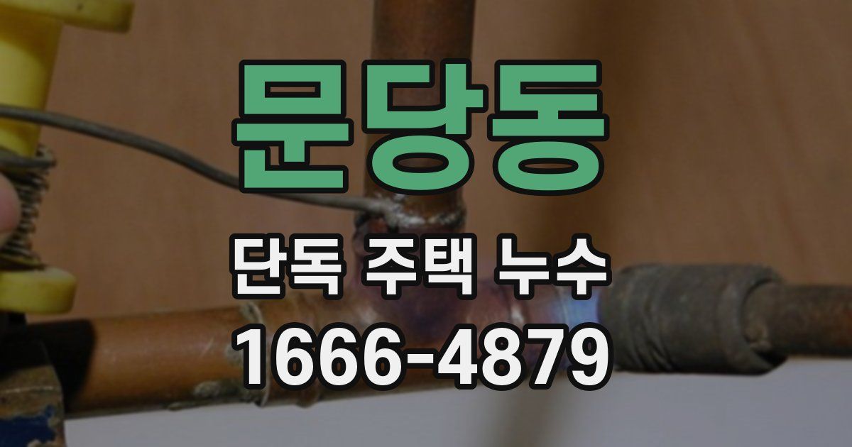 문당동 단독 주택 누수