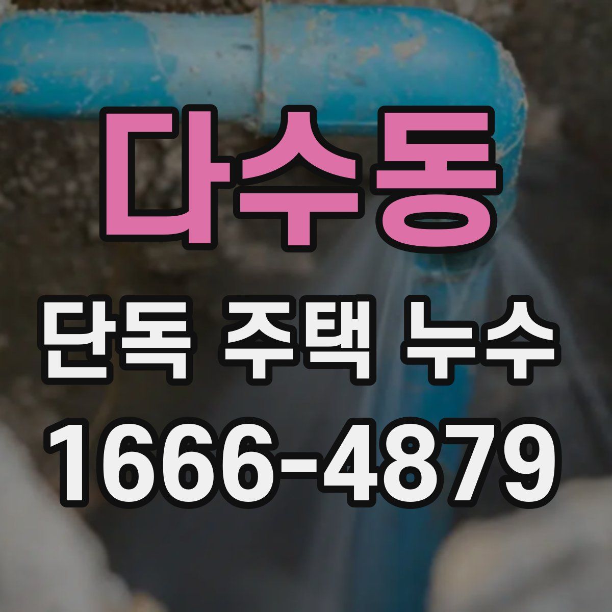 다수동 단독 주택 누수