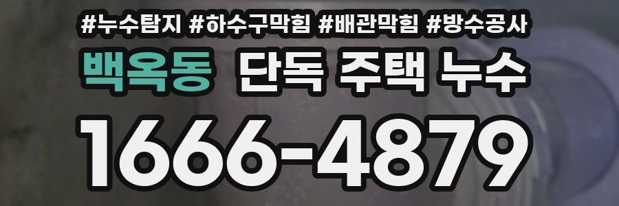 백옥동 단독 주택 누수