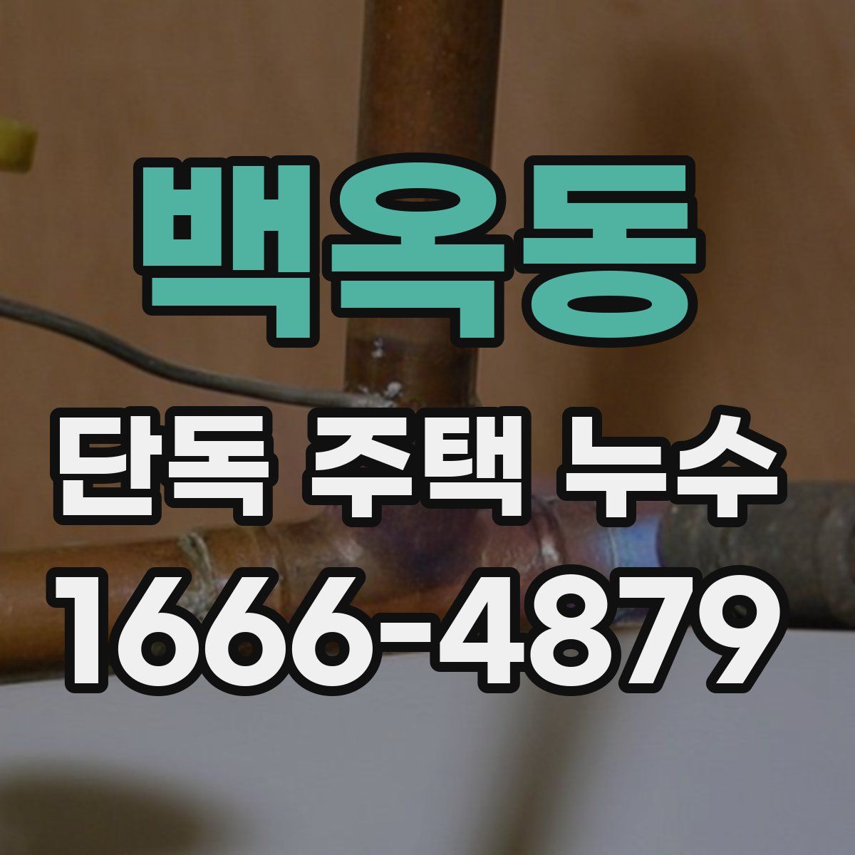 백옥동 단독 주택 누수
