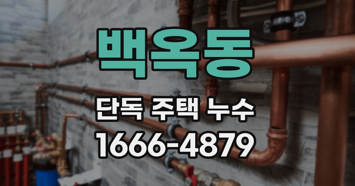 백옥동 단독 주택 누수