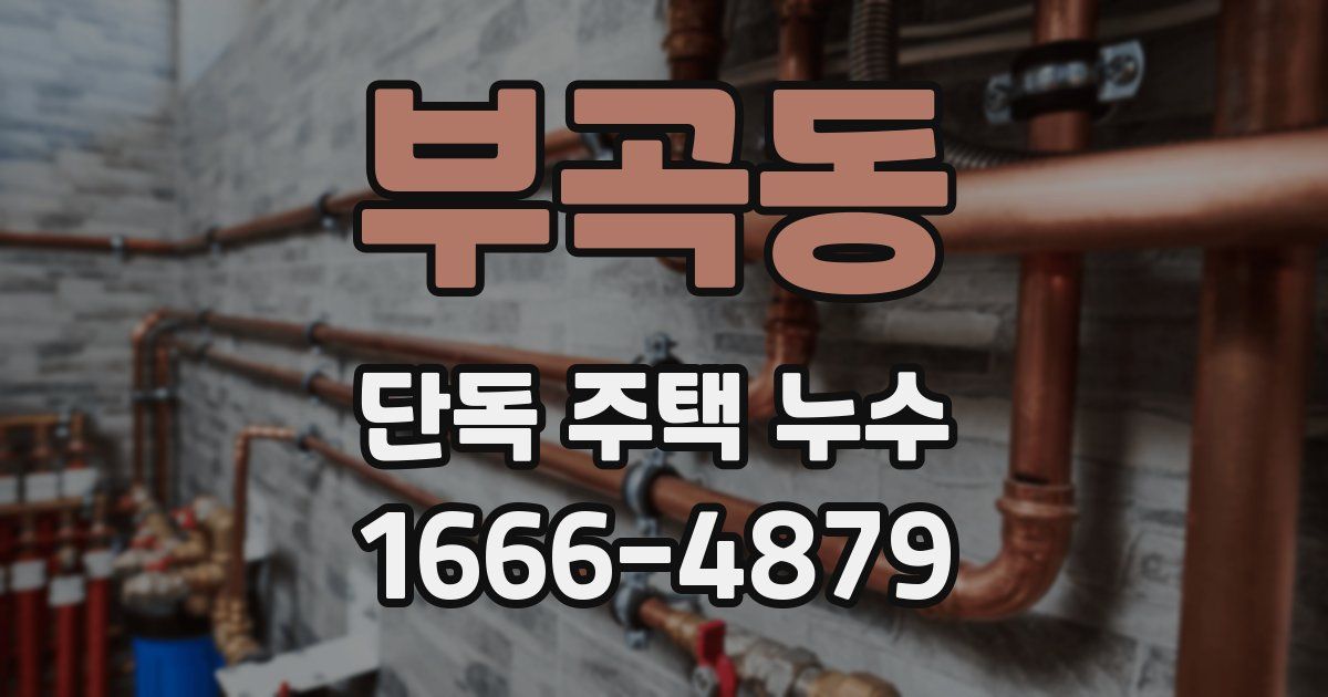 부곡동 단독 주택 누수