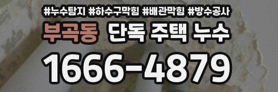 부곡동 단독 주택 누수