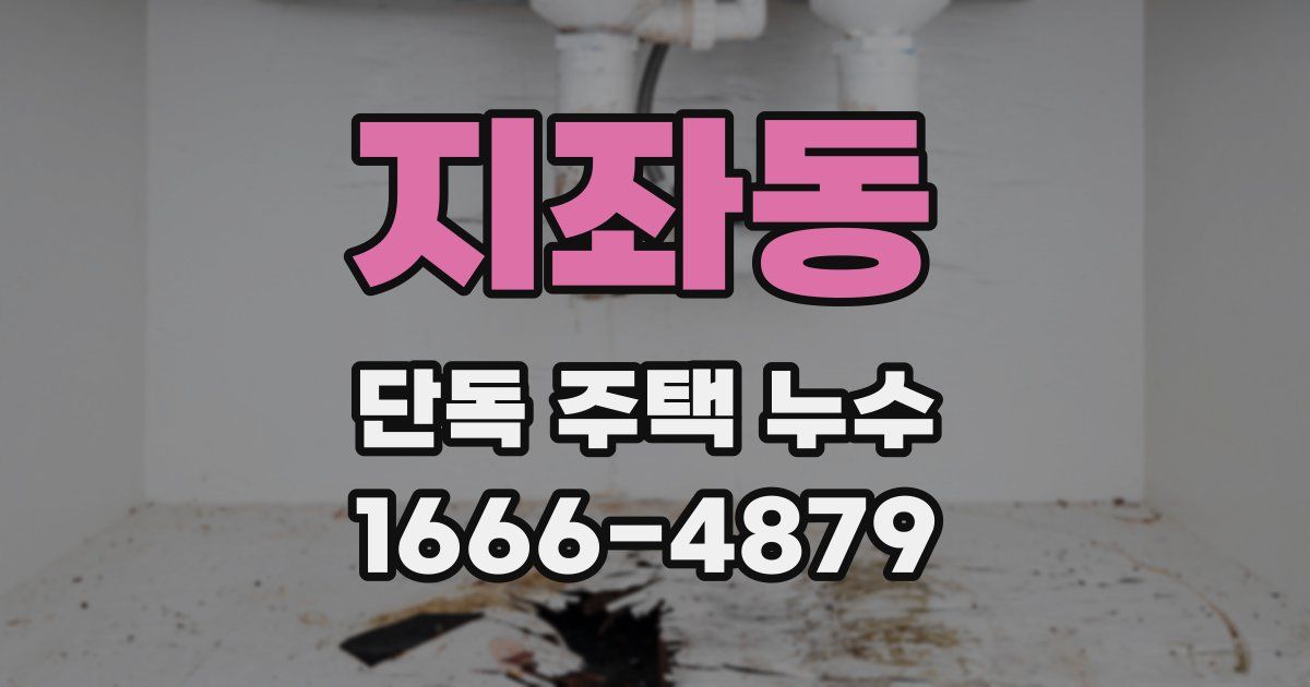 지좌동 단독 주택 누수