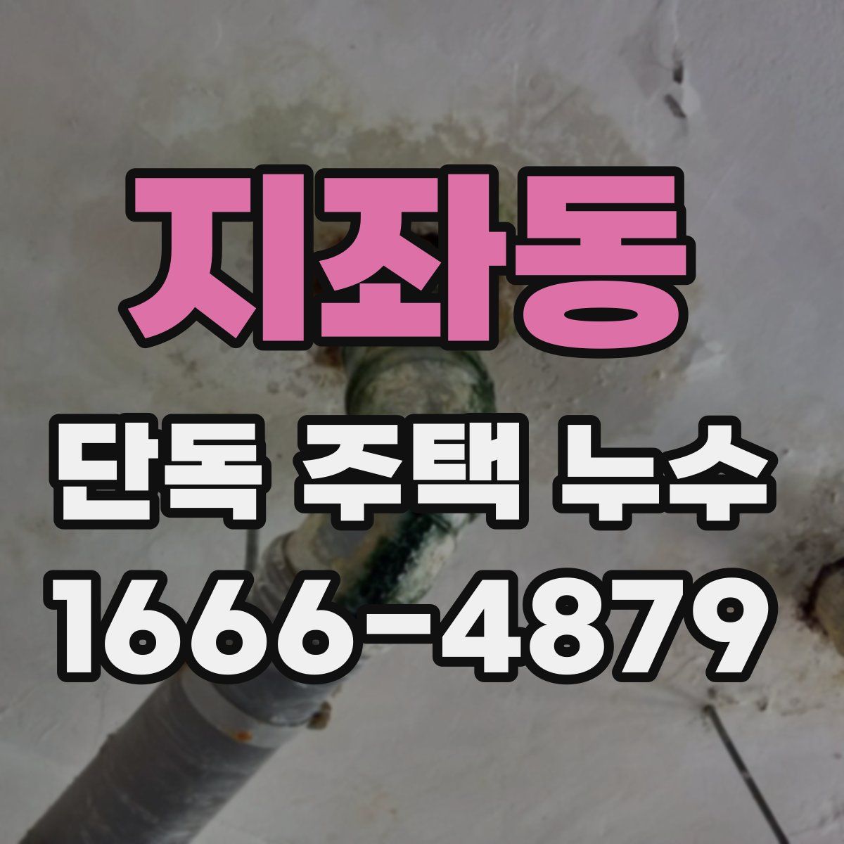 지좌동 단독 주택 누수