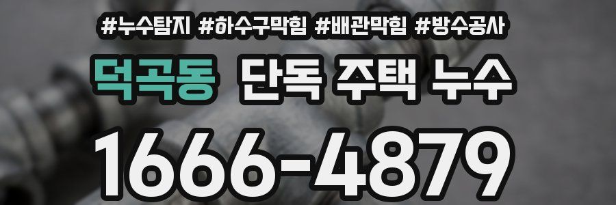 덕곡동 단독 주택 누수
