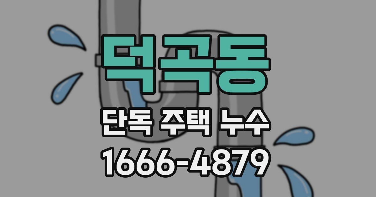 덕곡동 단독 주택 누수