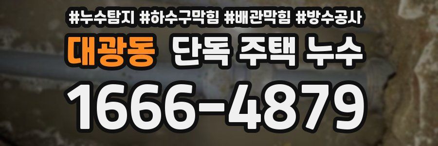 대광동 단독 주택 누수